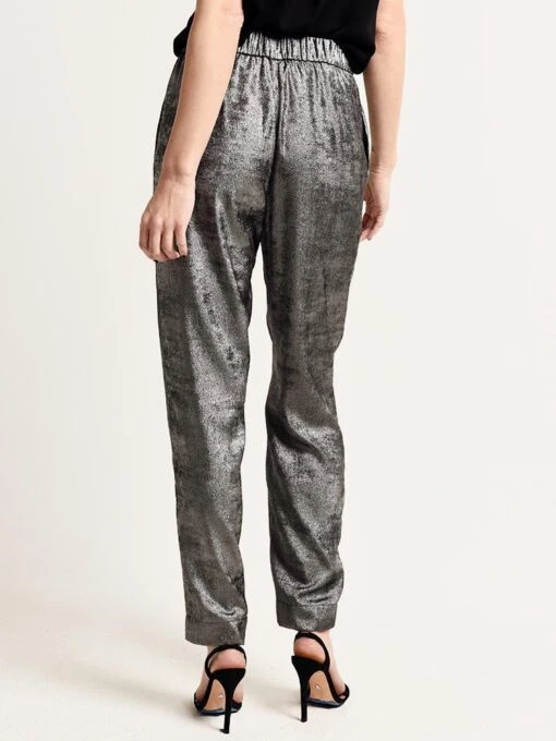 Brochu Walker The Nives Pant -Clothing Line Store wdp2691 orbitmetallicalt2